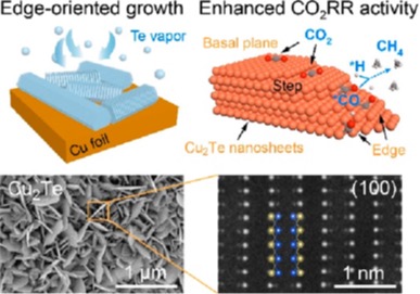 ACS Nano 2023, 17, 4790-4799.