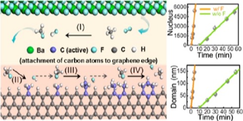  ACS Nano 2019, 13, 10272−10278.