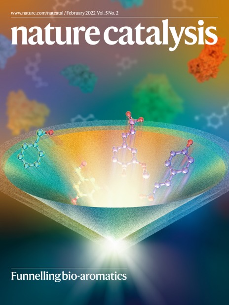 nature catalysis